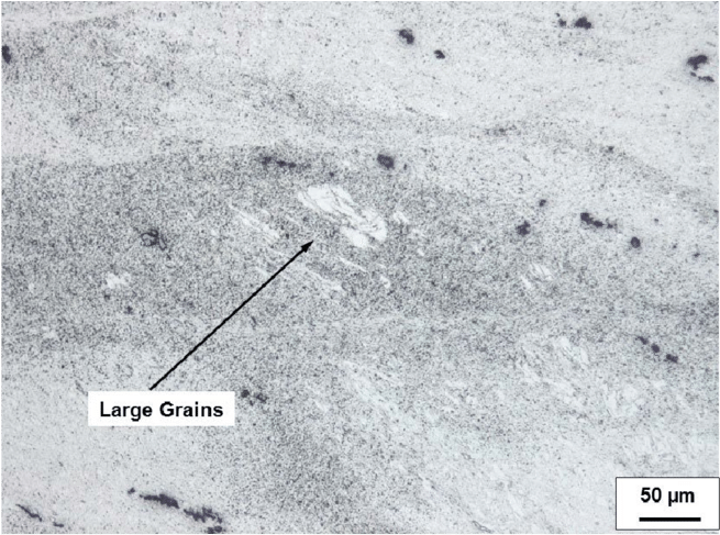 Large White Grain Clusters In A Microsection Of The - Concrete Clipart (850x498), Png Download