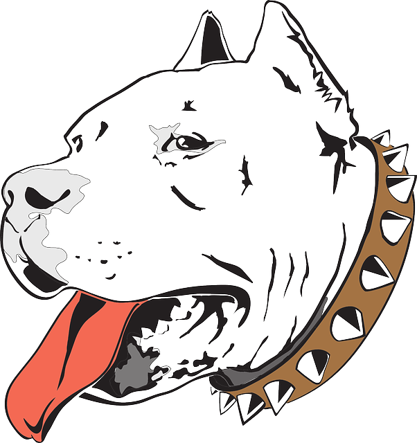 Head Dog Bull Pet Household Animal Pit - Pitbull Logo Clipart (602x640), Png Download