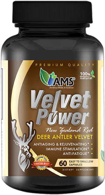 60 Capsules - $54 - - Shiitake Clipart (600x943), Png Download