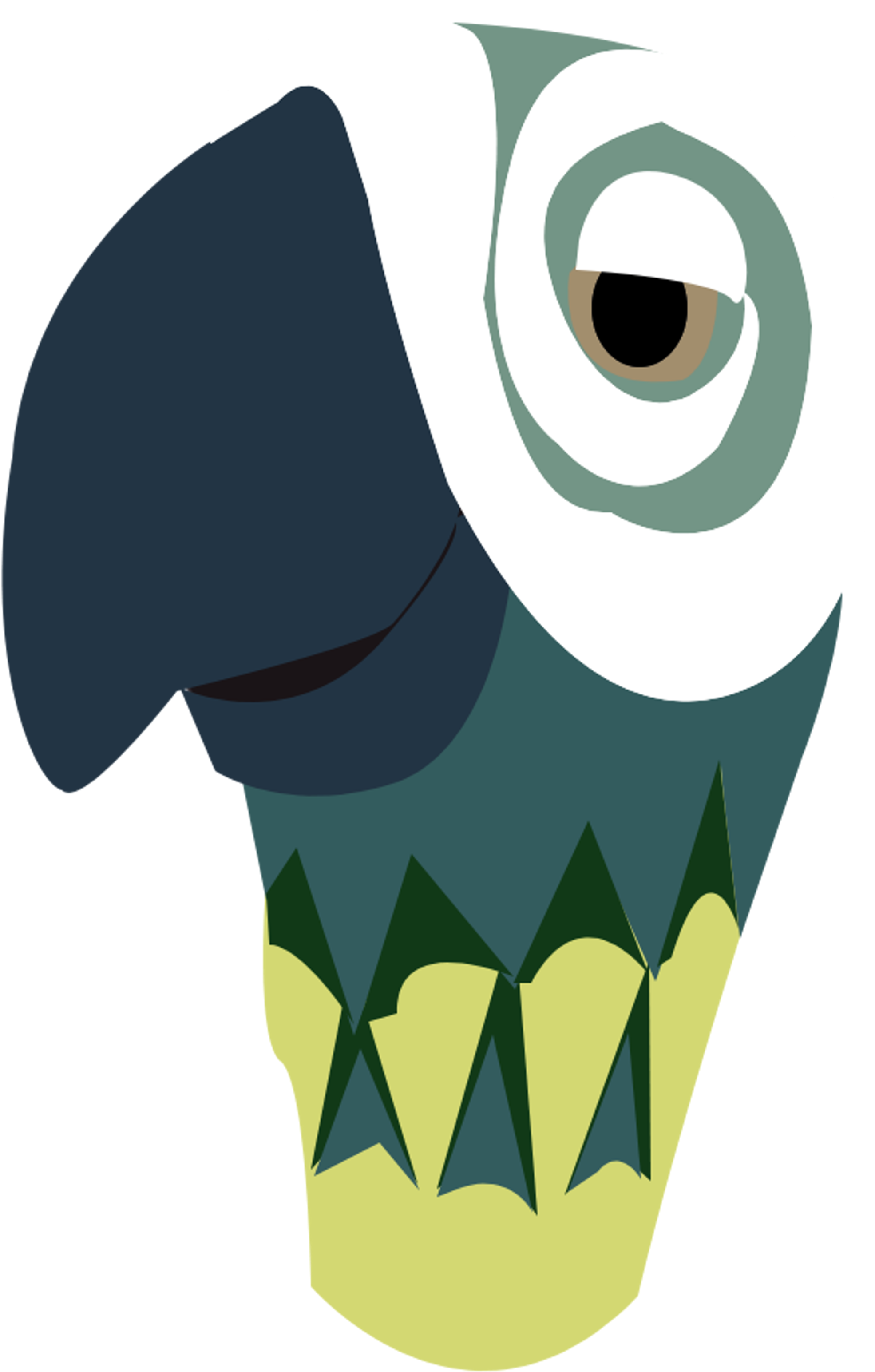 Mary Poppins Images Mary Poppins Parrot Umbrella Hd - Mary Poppins Umbrella Parrot Head Clipart (2400x3200), Png Download