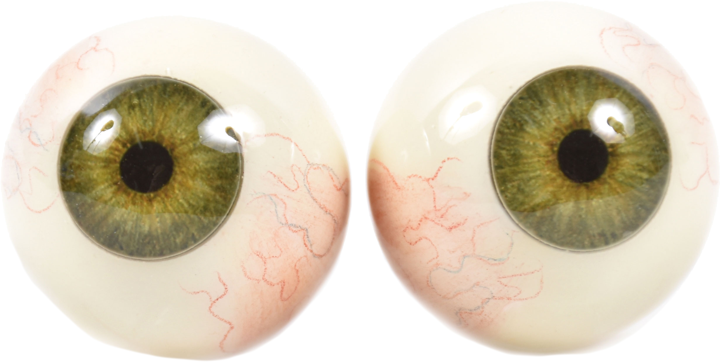 Macro Photography Clipart (2528x2529), Png Download