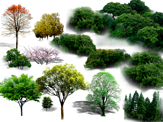 Tree Png File Hd - Trees Landscape Psd Clipart (662x496), Png Download