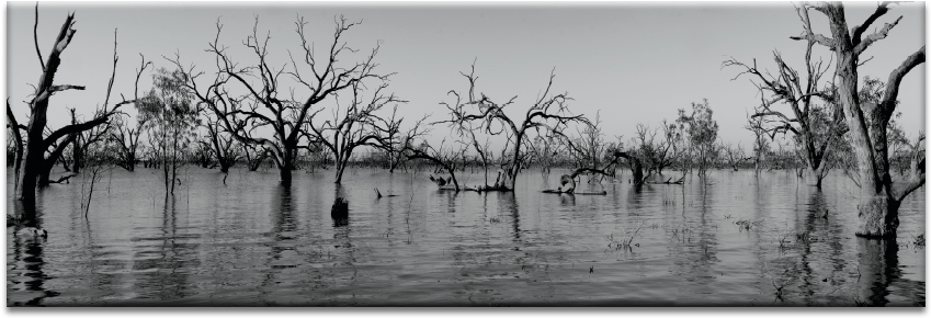 Ripple Png Bw - Monochrome Clipart (900x900), Png Download