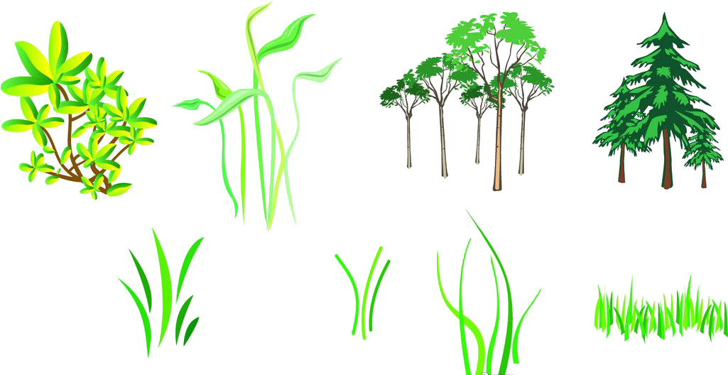 Branch Tree Silhouette Clipart (1025x528), Png Download