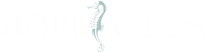 Hope Villa Bed & Breakfast - Northern Seahorse Clipart (1000x320), Png Download