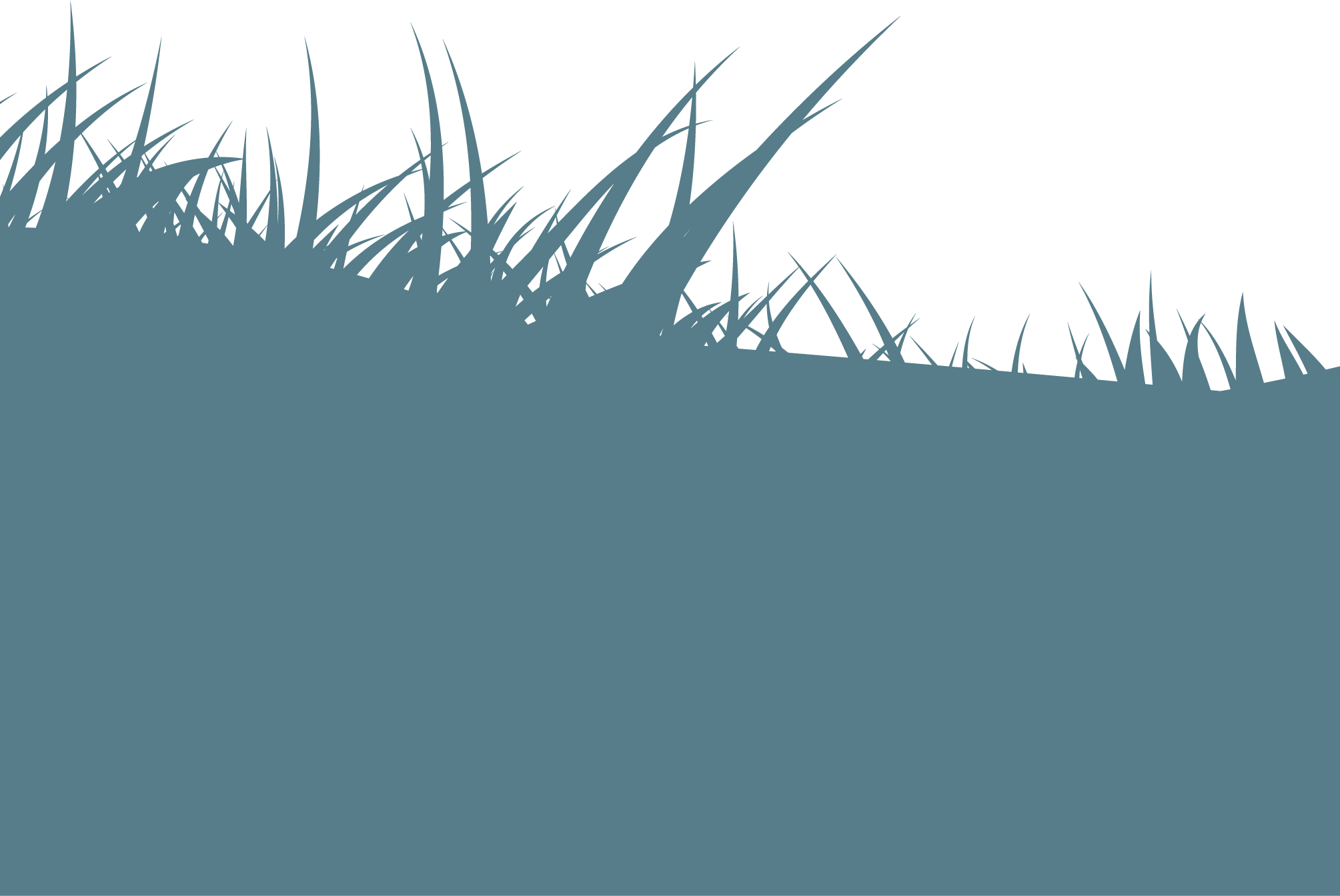 Likely, Ai Will Give Us The Means To Read Dead Languages - Grass Clipart (2009x1344), Png Download