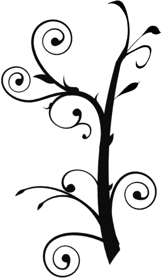 Vines Clipart Grass - Silhouette Vine Clipart Png Transparent Png (528x598), Png Download
