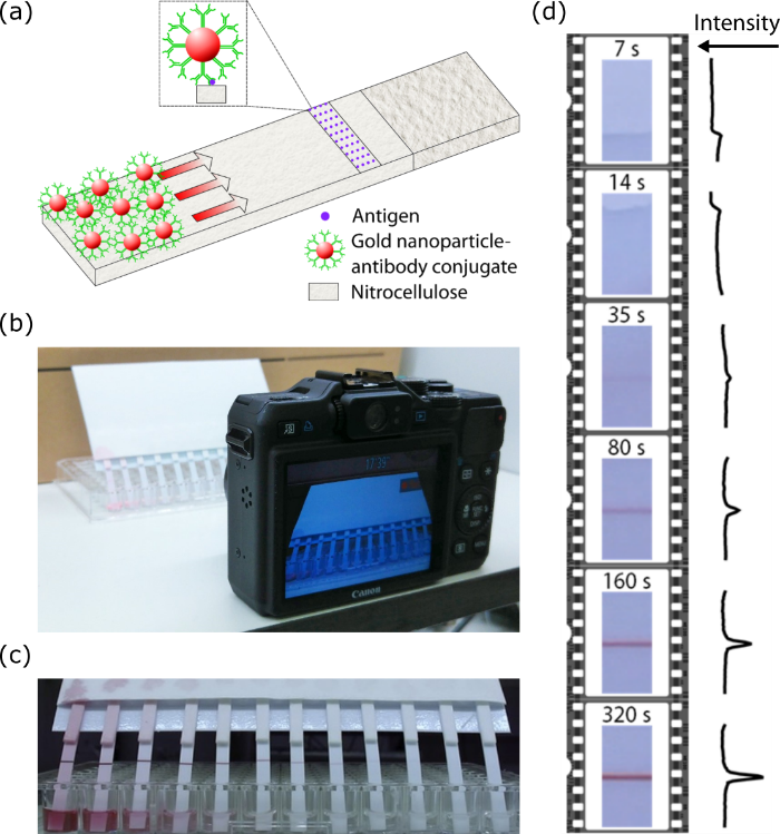 Microfluidics Scheme - Electronics Clipart (700x749), Png Download