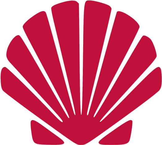 Aproveita E Clica No Vídeo Aqui Pra Ver Como Foi E - Shell Svg Clipart (570x570), Png Download