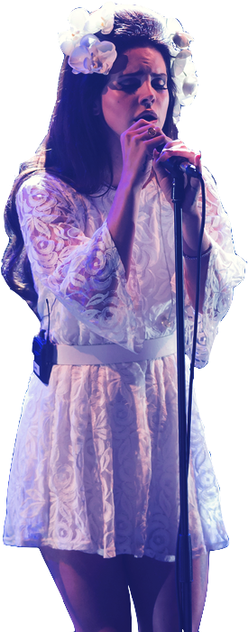 Lana Del Rey Transparent - Lana Del Rey Concert Dress Clipart (500x750), Png Download