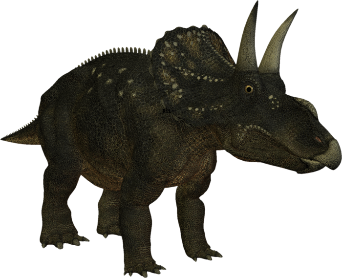 Triceratops Clipart (700x569), Png Download