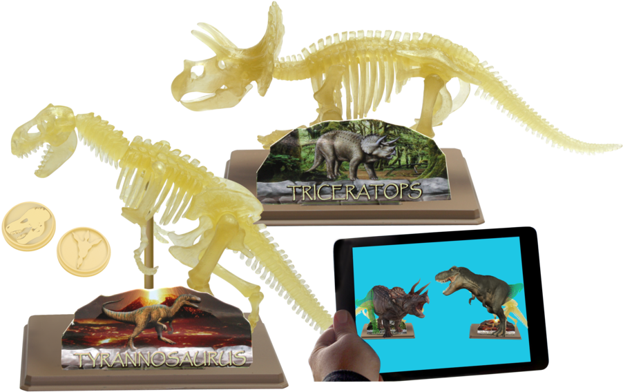 Ar Dinosaur Skeleton Museum - Triceratops Clipart (1000x683), Png Download