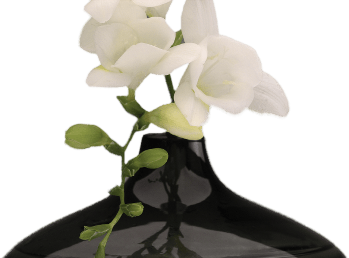 Png Hd Vase Of Flowers Transparent Hd Vase Of Flowerspng - Png Flower With Vase Clipart (1158x856), Png Download