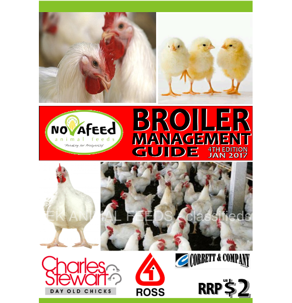 Poultry Clipart (800x600), Png Download