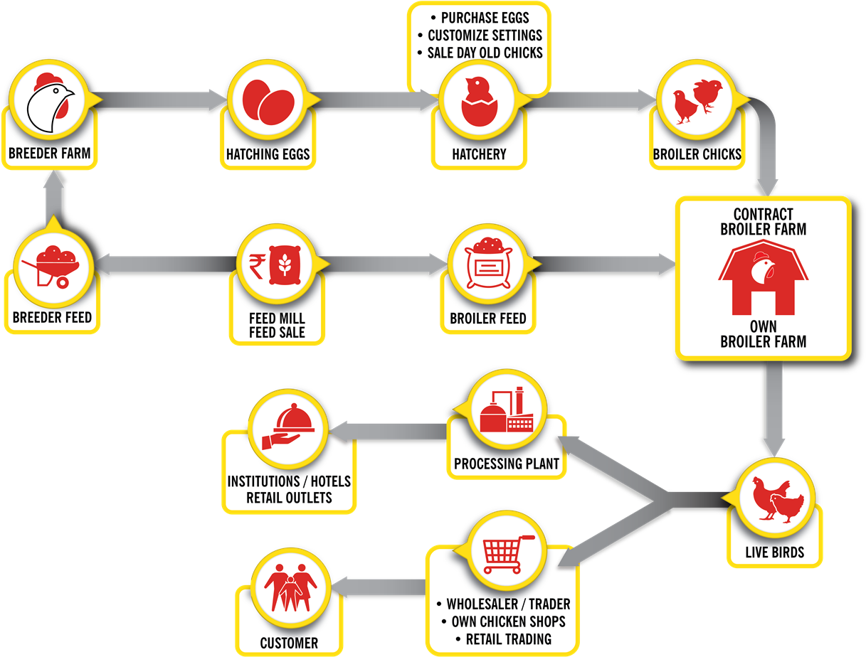 Services - Broiler Poultry Farm Process Clipart (1400x994), Png Download