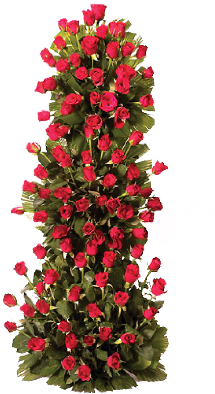 Flower Plant Png - Floristry Clipart (800x800), Png Download