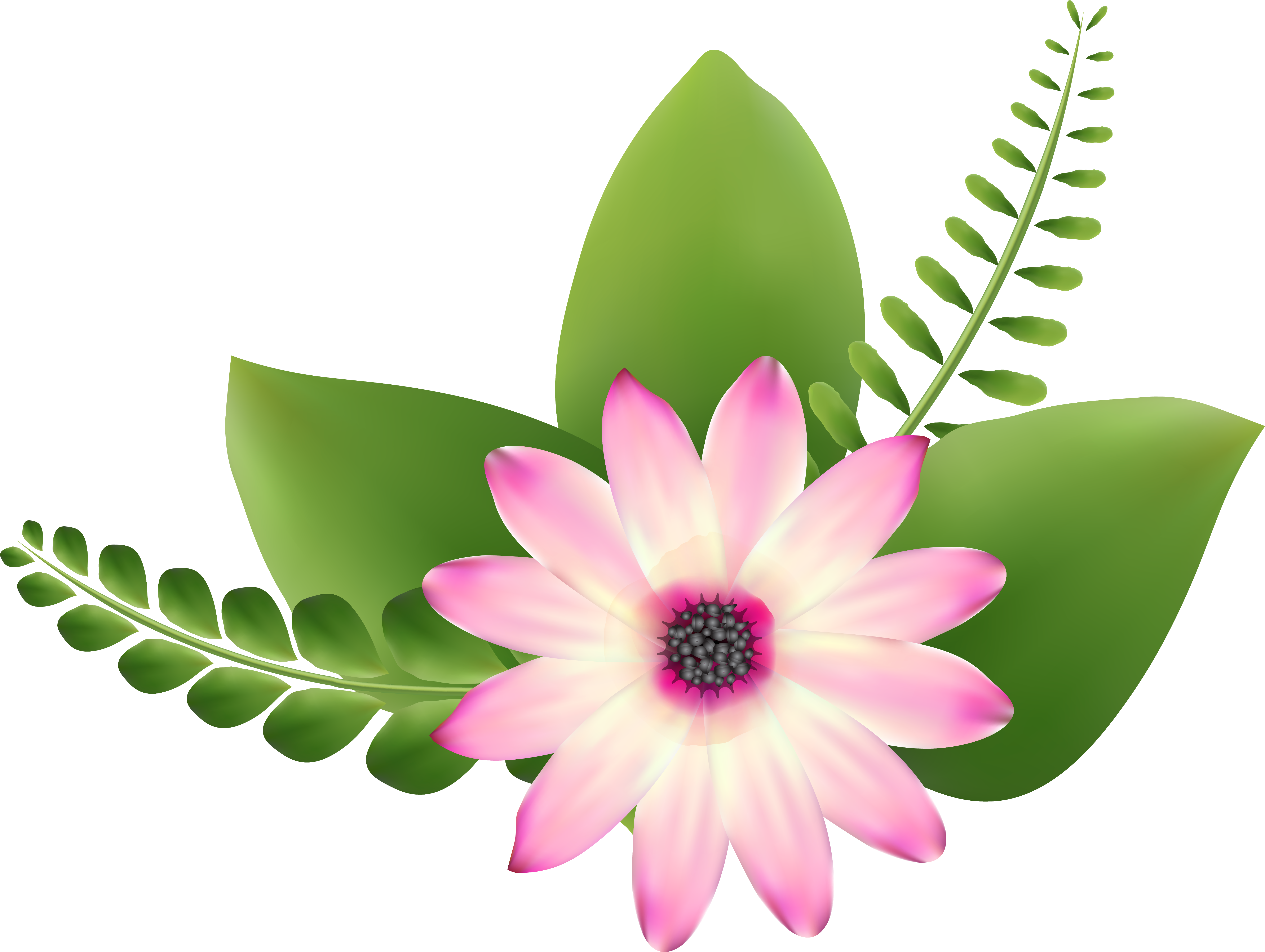 Go To Image - Pink And Green Flower Clip Art - Png Download (6219x4748), Png Download