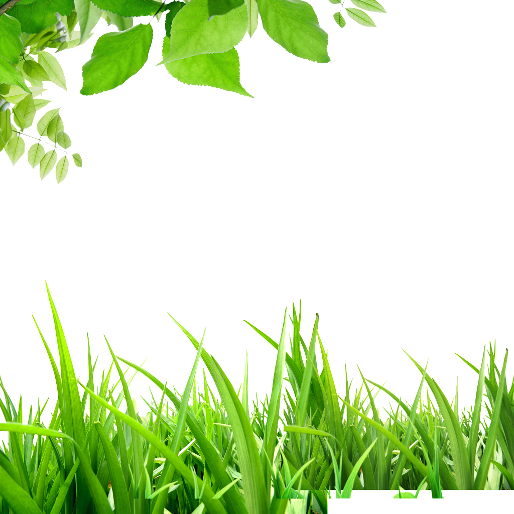 Green Background Hd - Background Xanh Lá Cây Cây Cỏ Clipart (1024x1024), Png Download