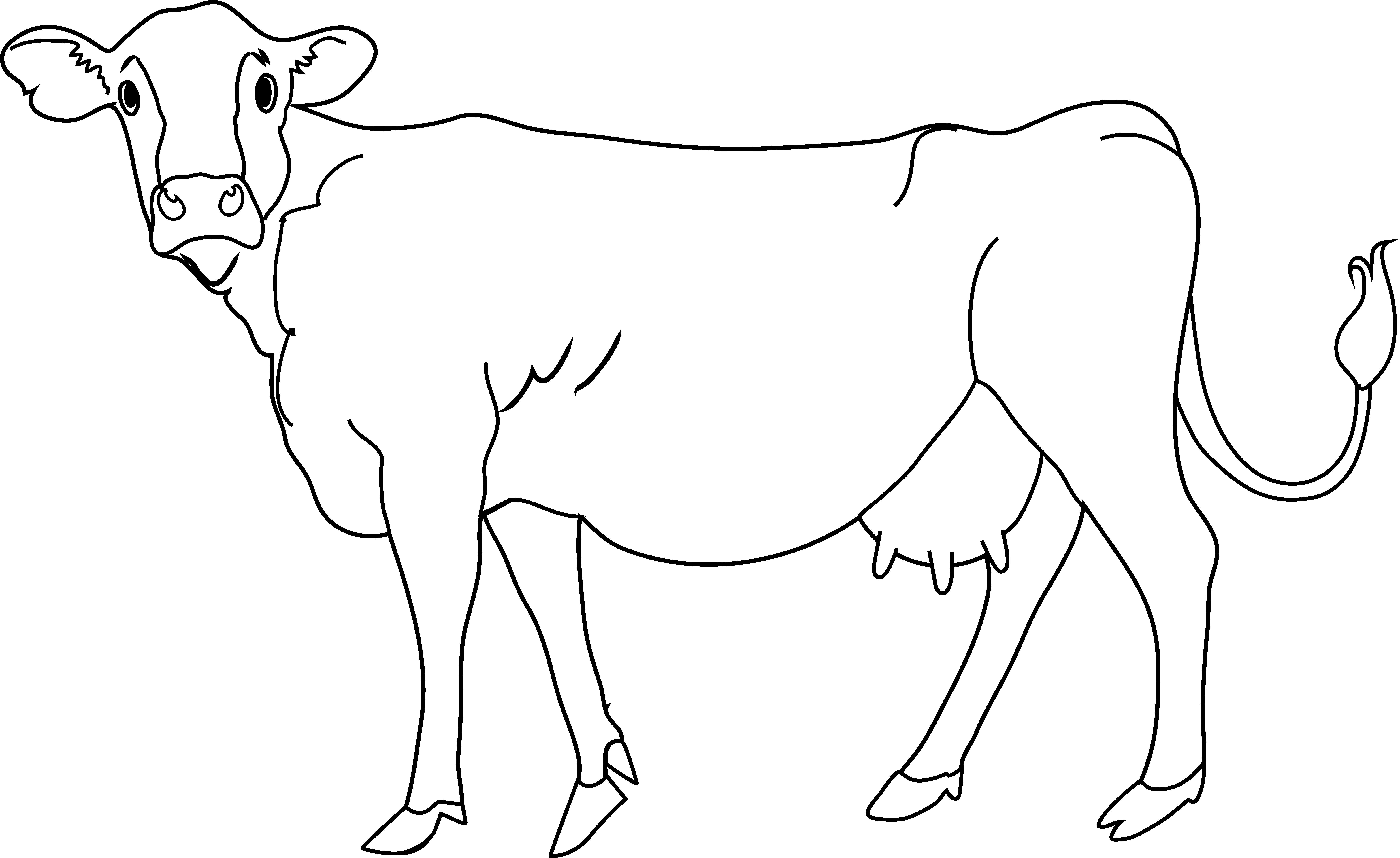 Cow Coloring Page - Cows Transparent Clipart (7657x4694), Png Download