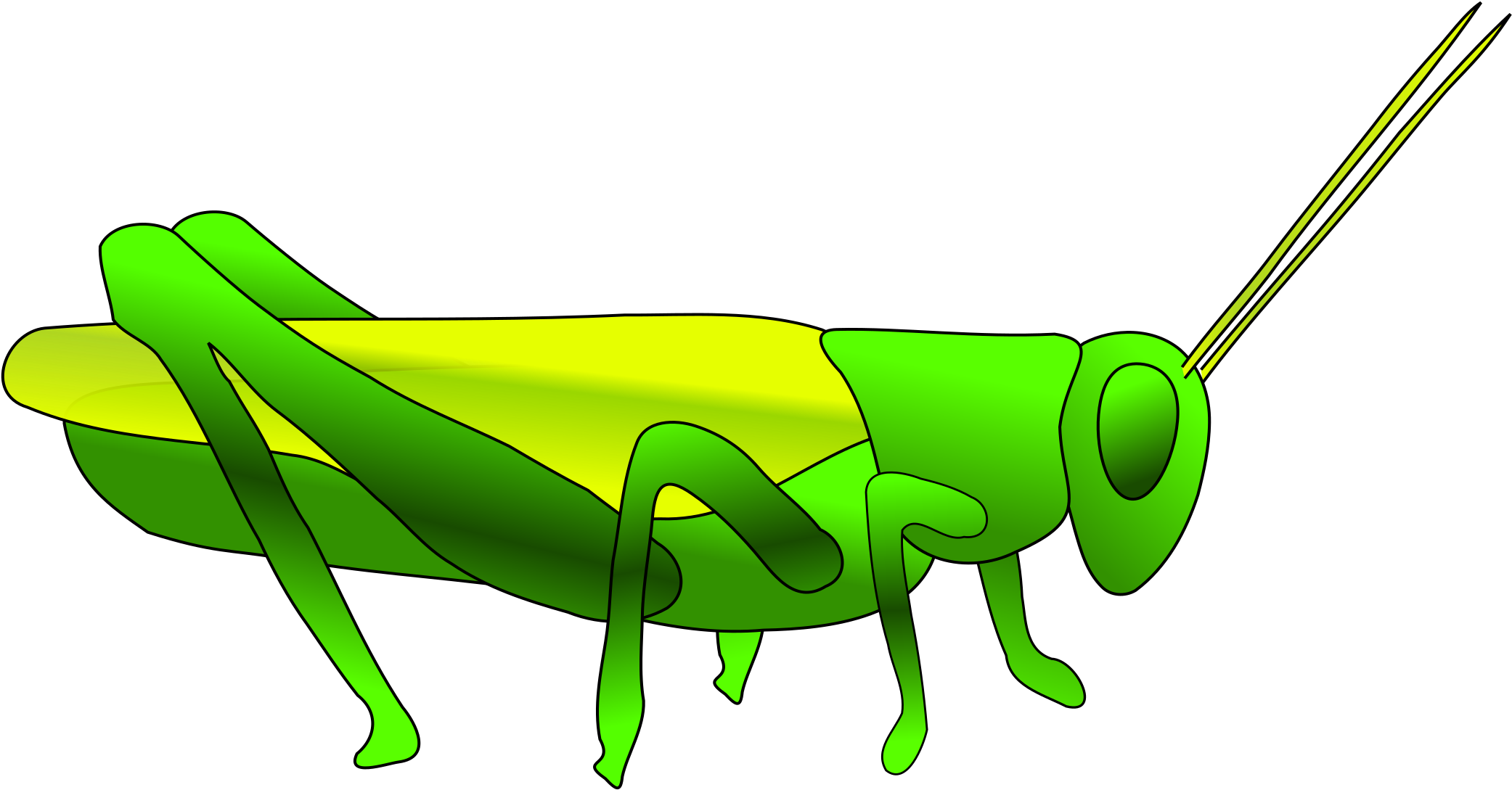 Grasshopper Clipart Big - Locust Drawing - Png Download (2400x1680), Png Download