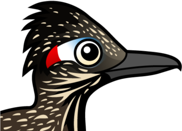 Roadrunner Clipart Greater Roadrunner - Flightless Bird - Png Download (640x480), Png Download