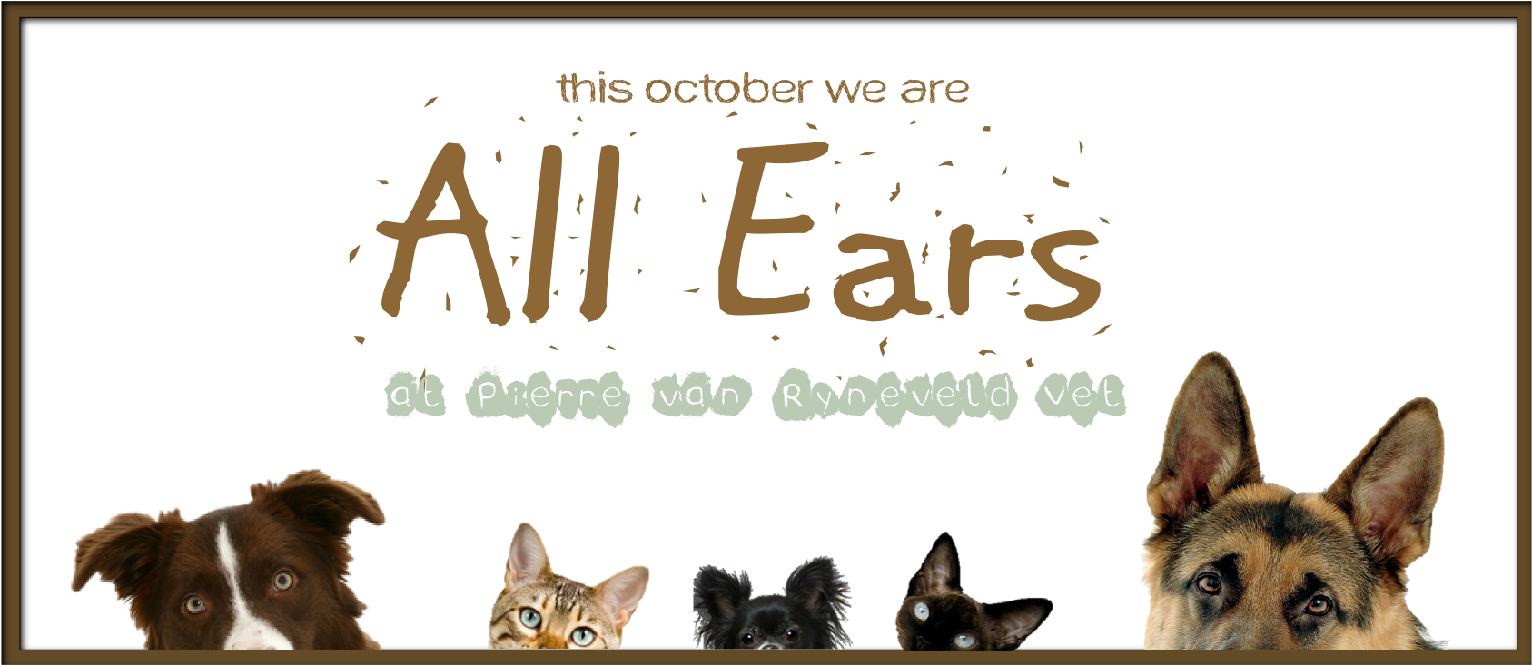 Old German Shepherd Dog Clipart (2022x878), Png Download