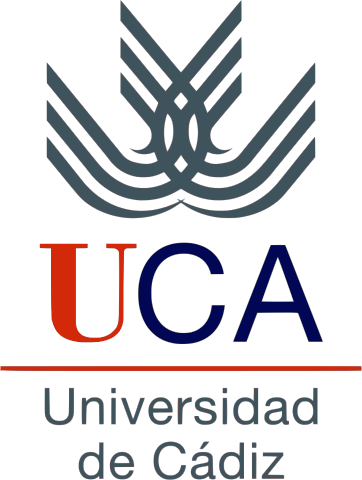 University Of Cádiz - Logo Universidad De Cadiz Clipart (1200x1589), Png Download
