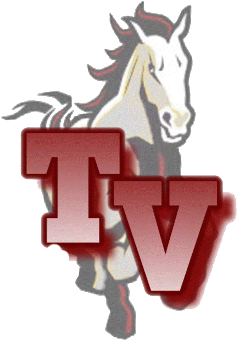 Tri Valley Mustangs Logo Clipart (1536x1536), Png Download