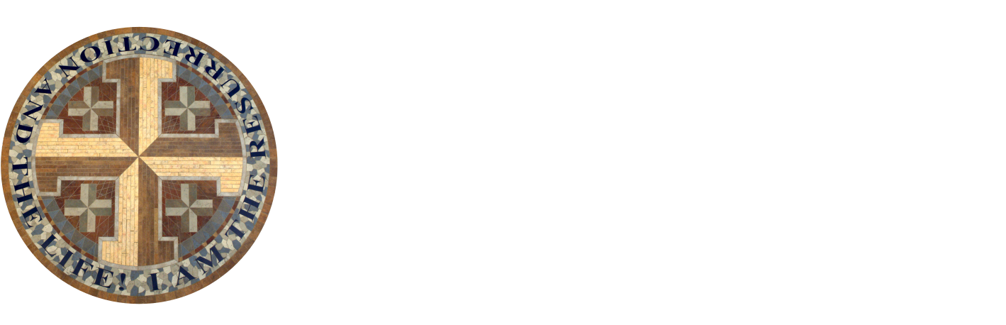 Circle Clipart (1429x500), Png Download