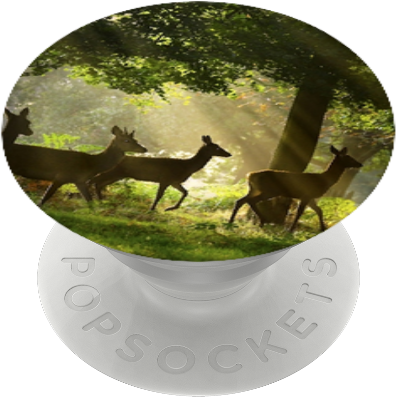 Deer Wildlife , Popsockets Clipart (989x1000), Png Download