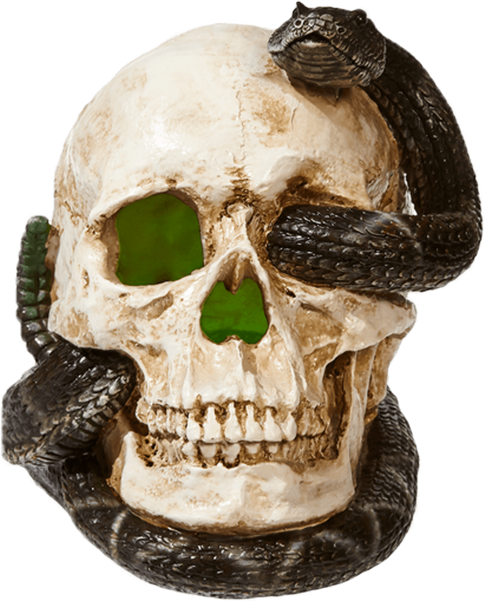 Skull With Snake Clipart (1200x1200), Png Download