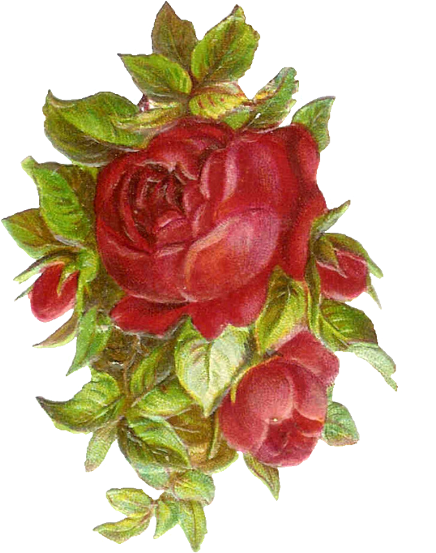 Vintage Flower Png Png - Vintage Red Rose Clip Art Transparent Png (700x960), Png Download