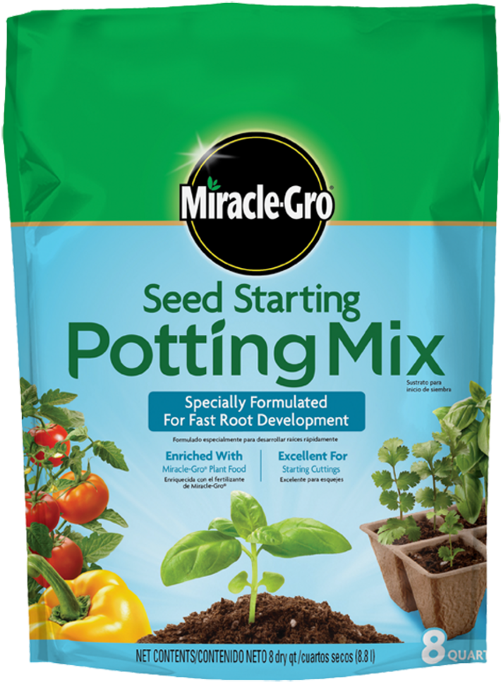 Seedling Png Clipart (741x1000), Png Download