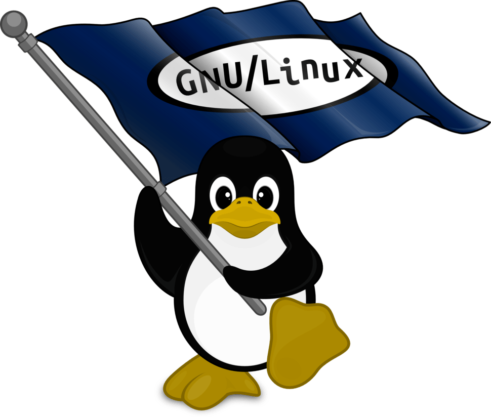 Gnu Linux Logo Penguin Svg - Linux Flag Clipart (970x824), Png Download