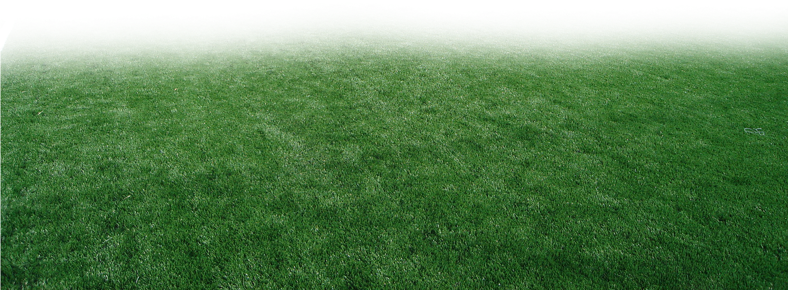 Pasto Y Estadios Png Para Walls - Lawn Clipart (1600x1200), Png Download