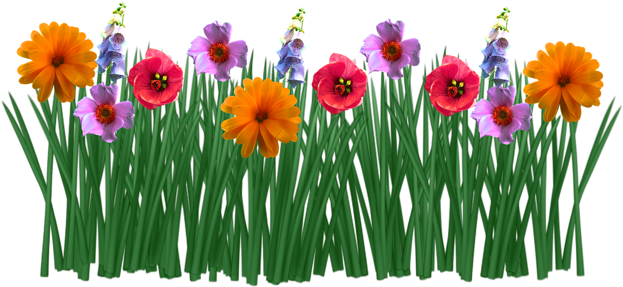 Imagen Gratis En Pixabay - Jardin De Flores Png Clipart (1280x640), Png Download