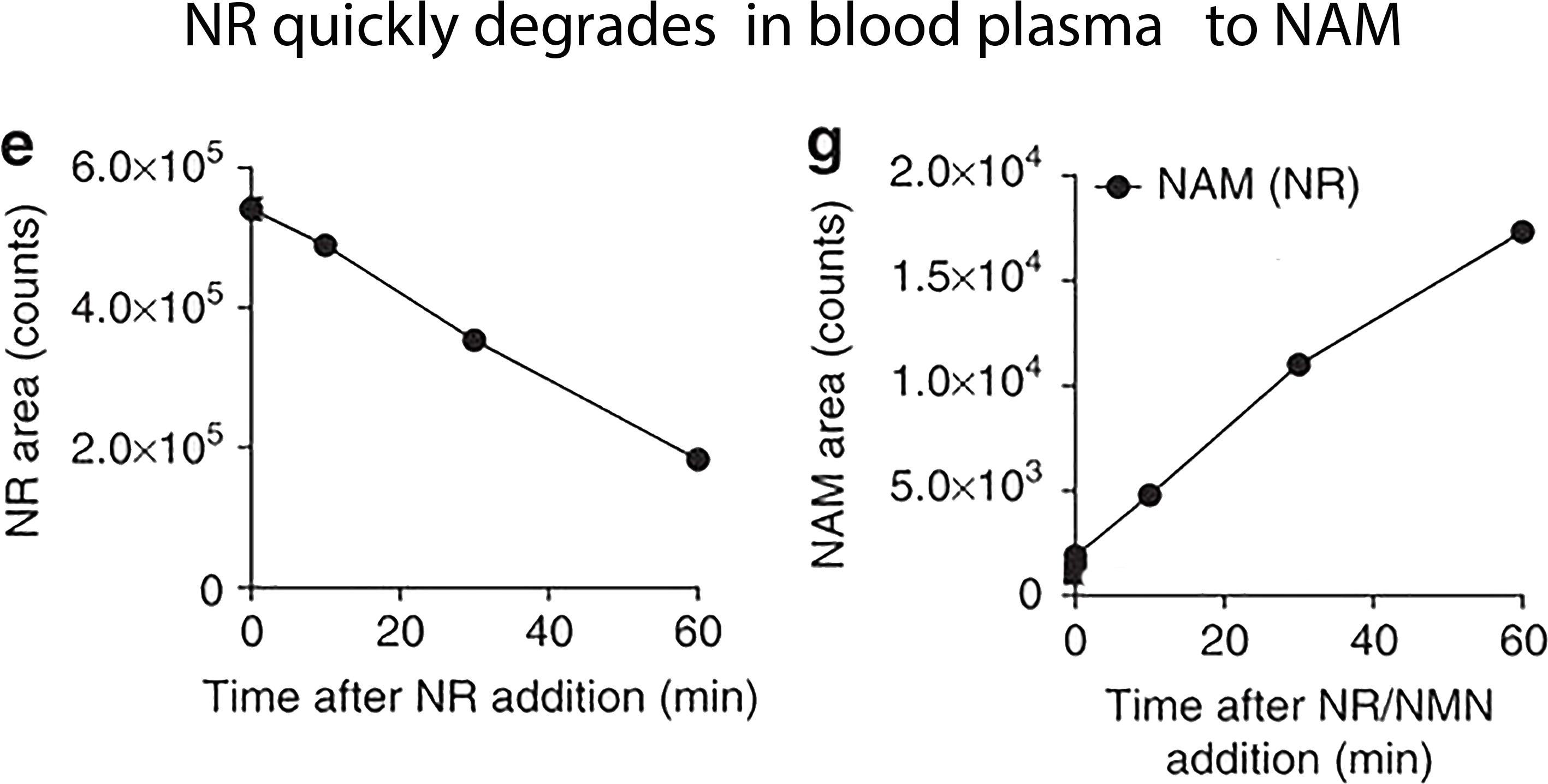 Not Stable In Bloodstream Clipart (2835x1437), Png Download