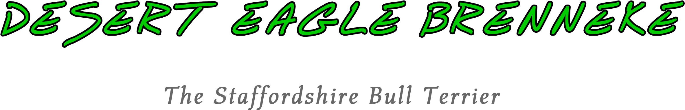 Ndd - Calligraphy Clipart (2609x709), Png Download