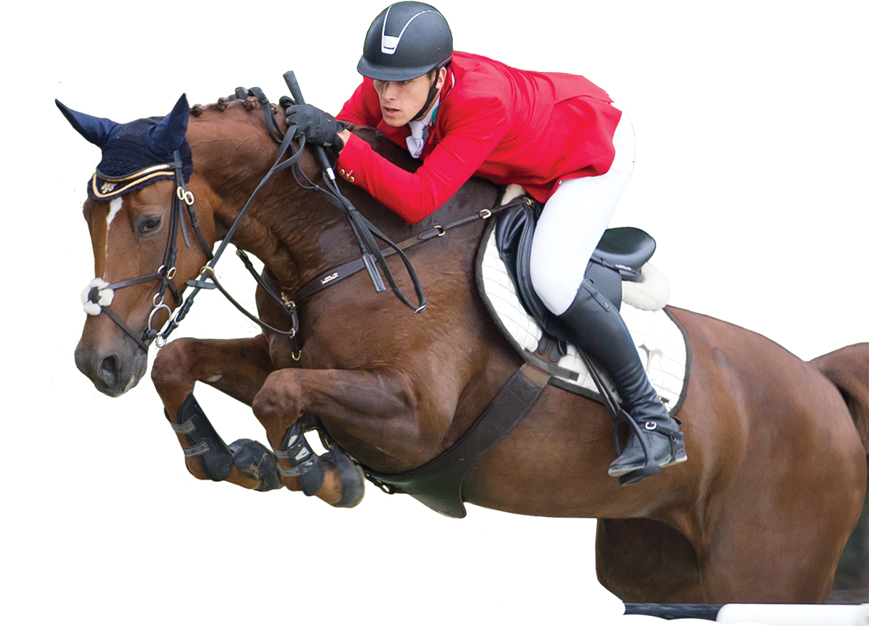 Live Show Jumping Hosted By Budapest, - Horse Jumping Transparent Clipart (1920x907), Png Download