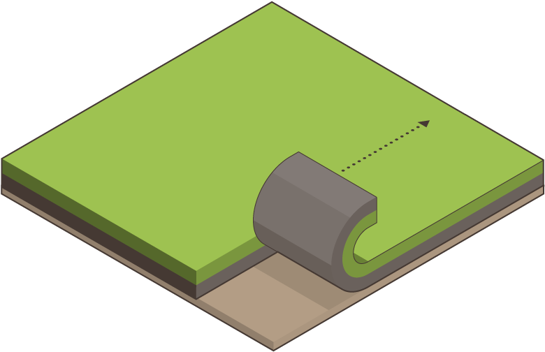 Remove The Existing Grass Sod - Wood Clipart (800x550), Png Download