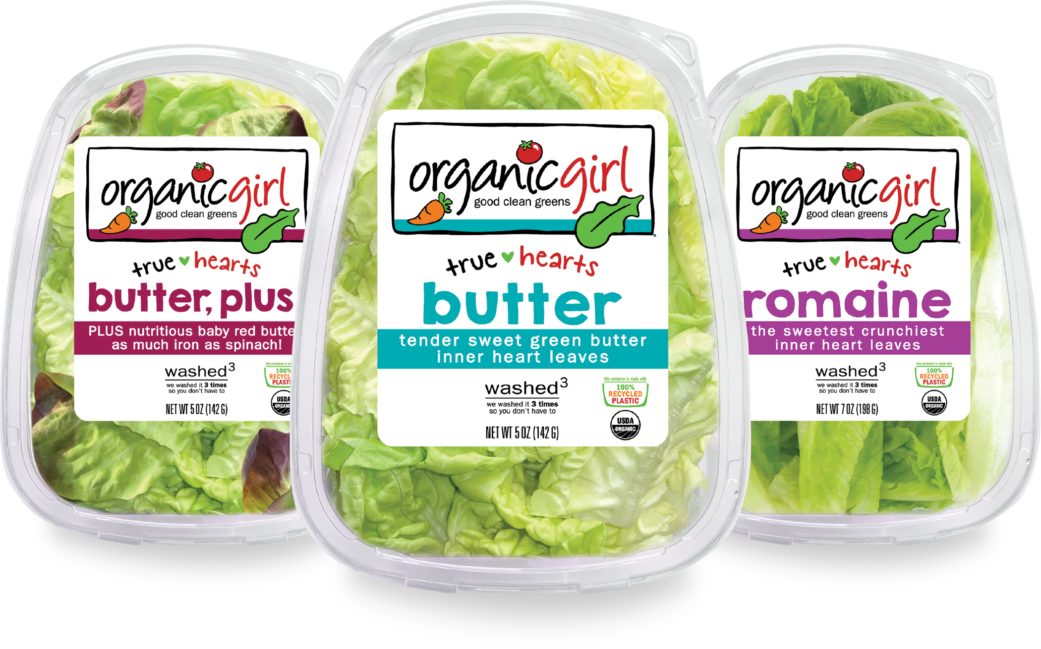 Organic Girl Butter Lettuce Clipart (2100x1310), Png Download