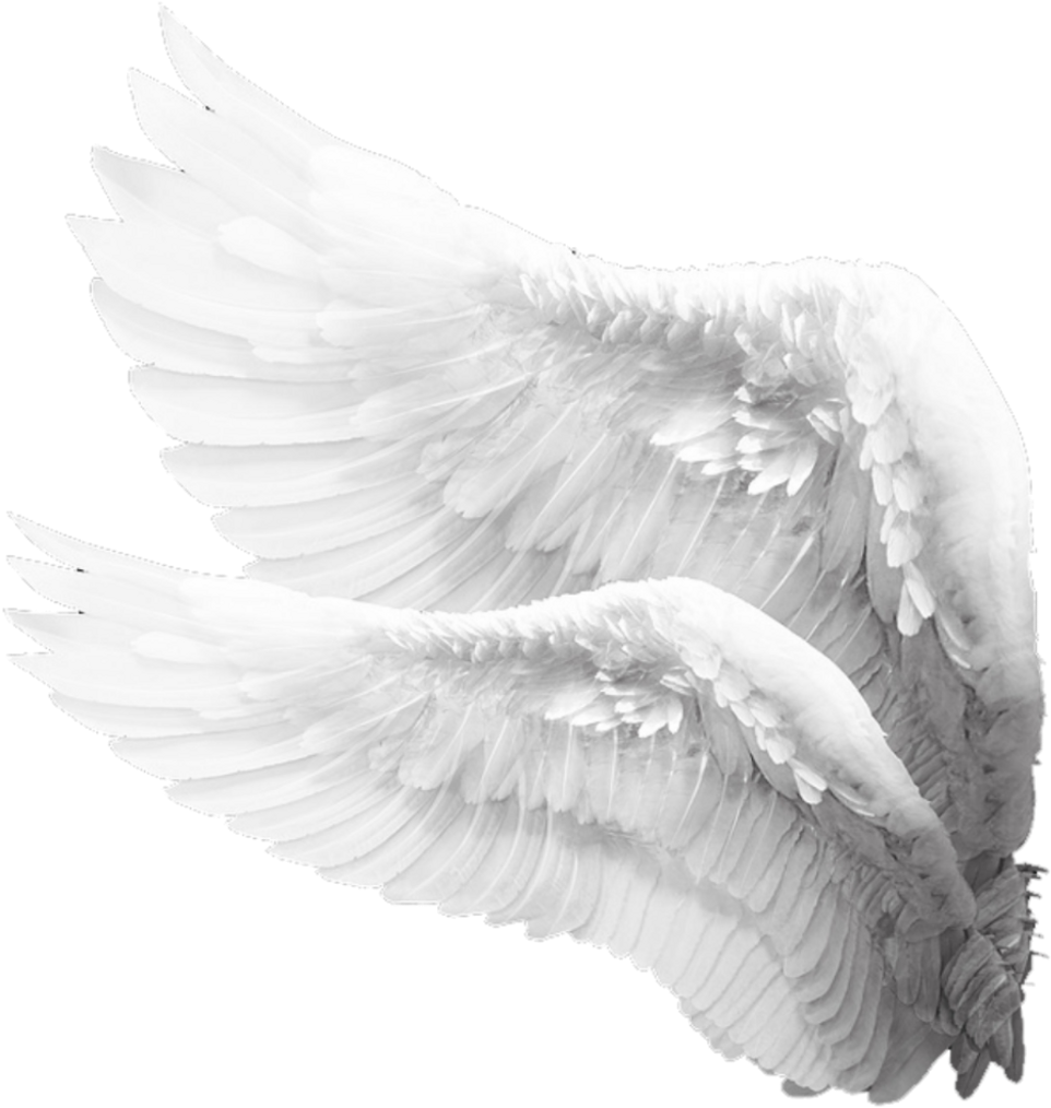 View large size #wings #wing #whitewings #engel #angels #angelwings - Angel...