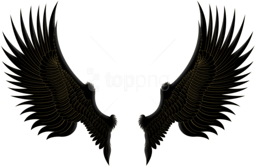 Free Png Download Black Gold Wings Clipart Png Photo - Wings Png Hd Transparent Png (850x560), Png Download