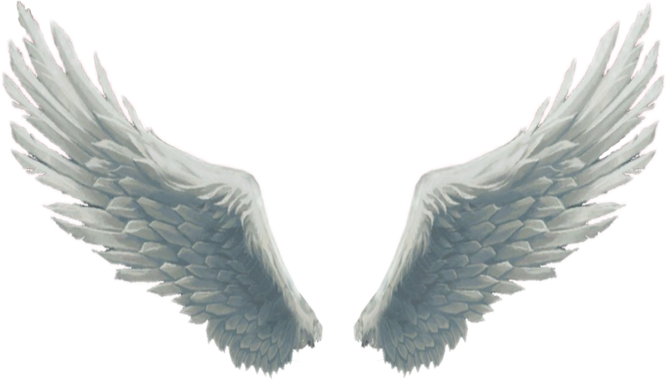 #big #beautiful #white #fluffy #wings #angelwings #angel - Angel Wings For Editing Clipart (1024x1024), Png Download