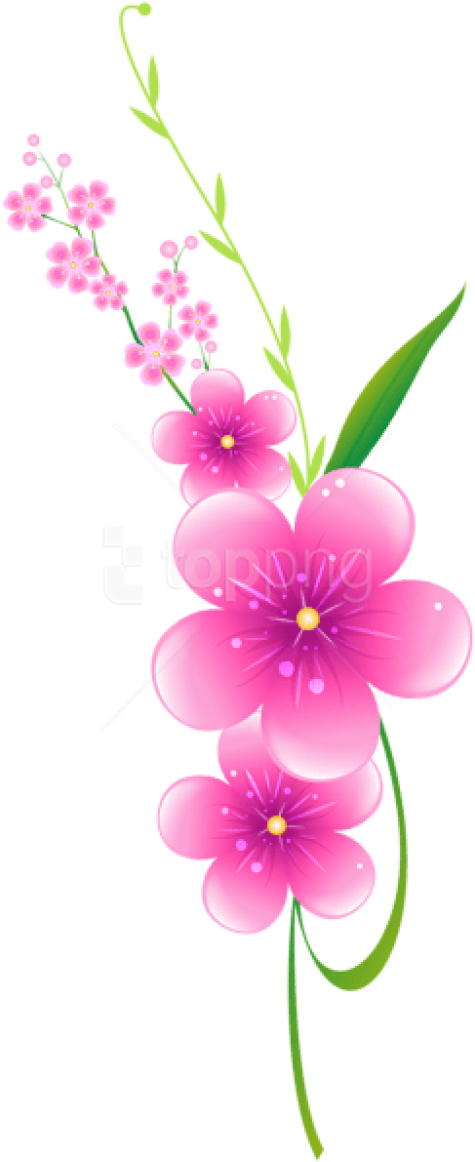 Download Floral Pink Decoration Png Clipart Png Photo - Periwinkle Transparent Png (480x1171), Png Download