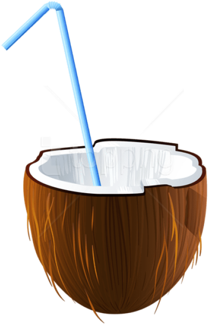 Free Png Download Summer Coconut Cocktail Clipart Png - Coconut Transparent Png (480x712), Png Download