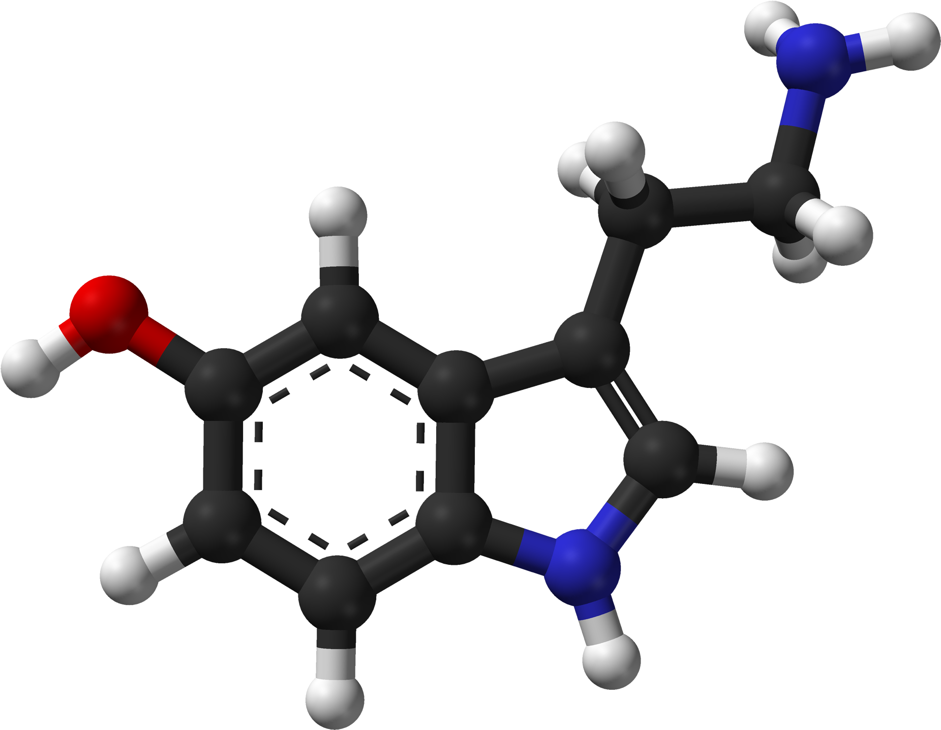 Serotonin Spartan Hf Based On Xtal 3d Balls Web - Serotonin Ball And Stick Model Clipart (2000x1585), Png Download