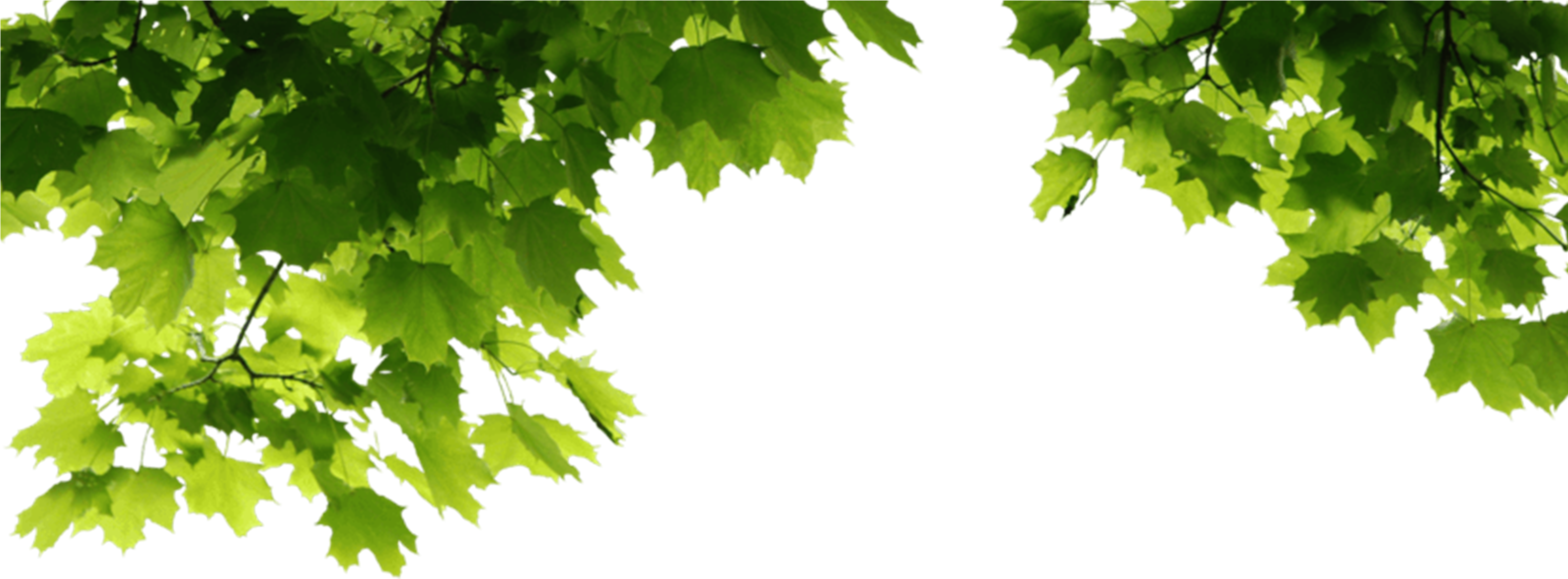 Outdoor Portrait Manipulation - Png Images For Manipulation Clipart (3156x4551), Png Download