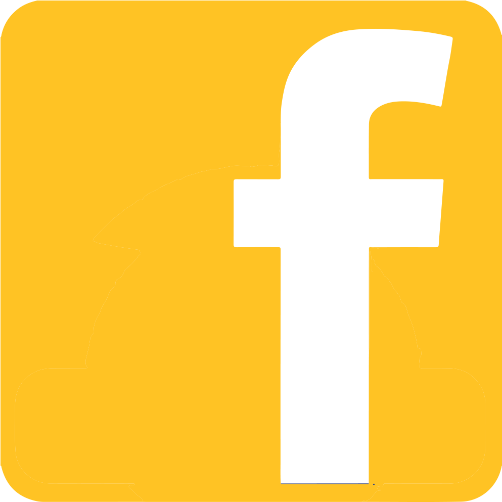 Facebook-icon - Yellow Facebook Clipart (1024x1024), Png Download