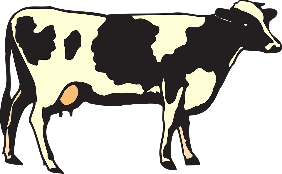 Png Image Free Cows - Food From Plants And Animals Worksheet Clipart (960x594), Png Download